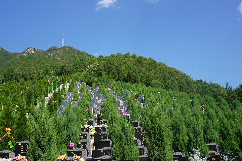 墓地有什么讲究？找大师选墓靠谱吗？