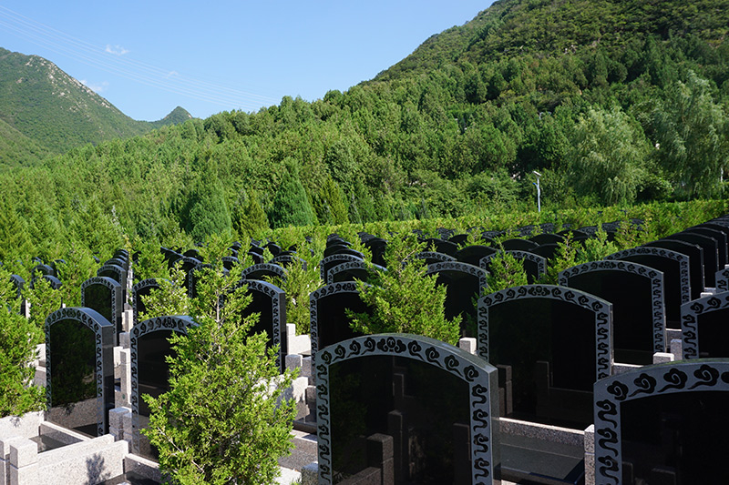 买了墓地，能永久使用吗？墓地有使用期限吗？
