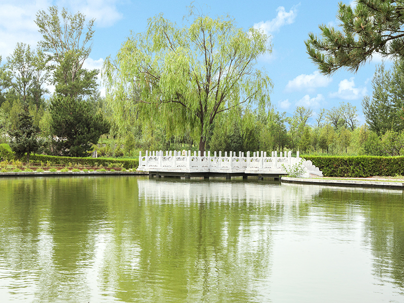 北京天堂公墓电话有几个（天堂公墓怎么才能买到墓地）